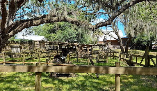 Printing Services in Brandon, FL