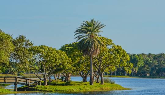 Printing Services in Largo, FL