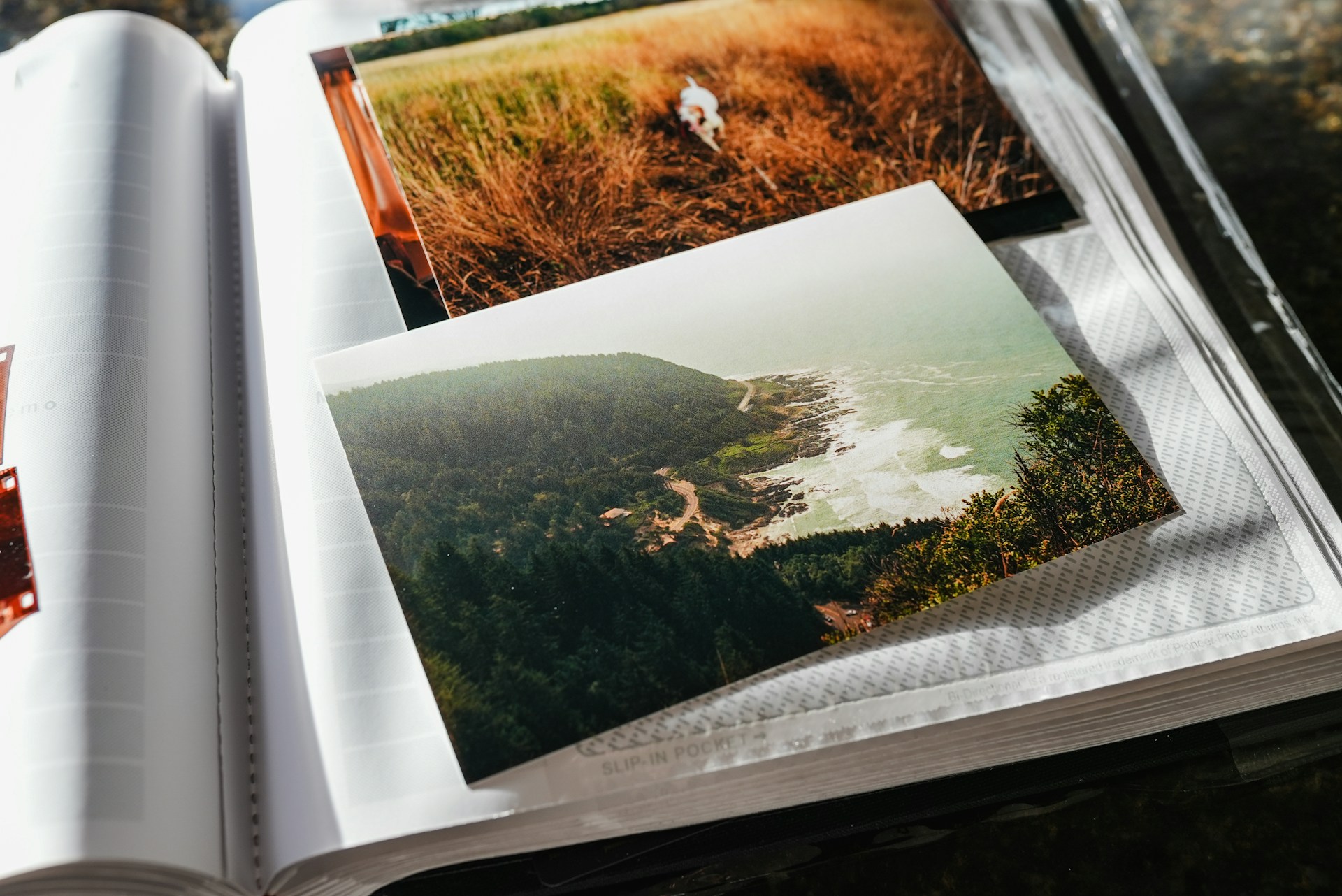 Digital Printing vs Offset Printing: Key Differences and Best Uses